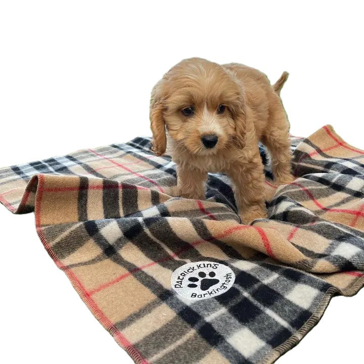 Couverture pour animaux de compagnie en laine tartan Barkingtosh