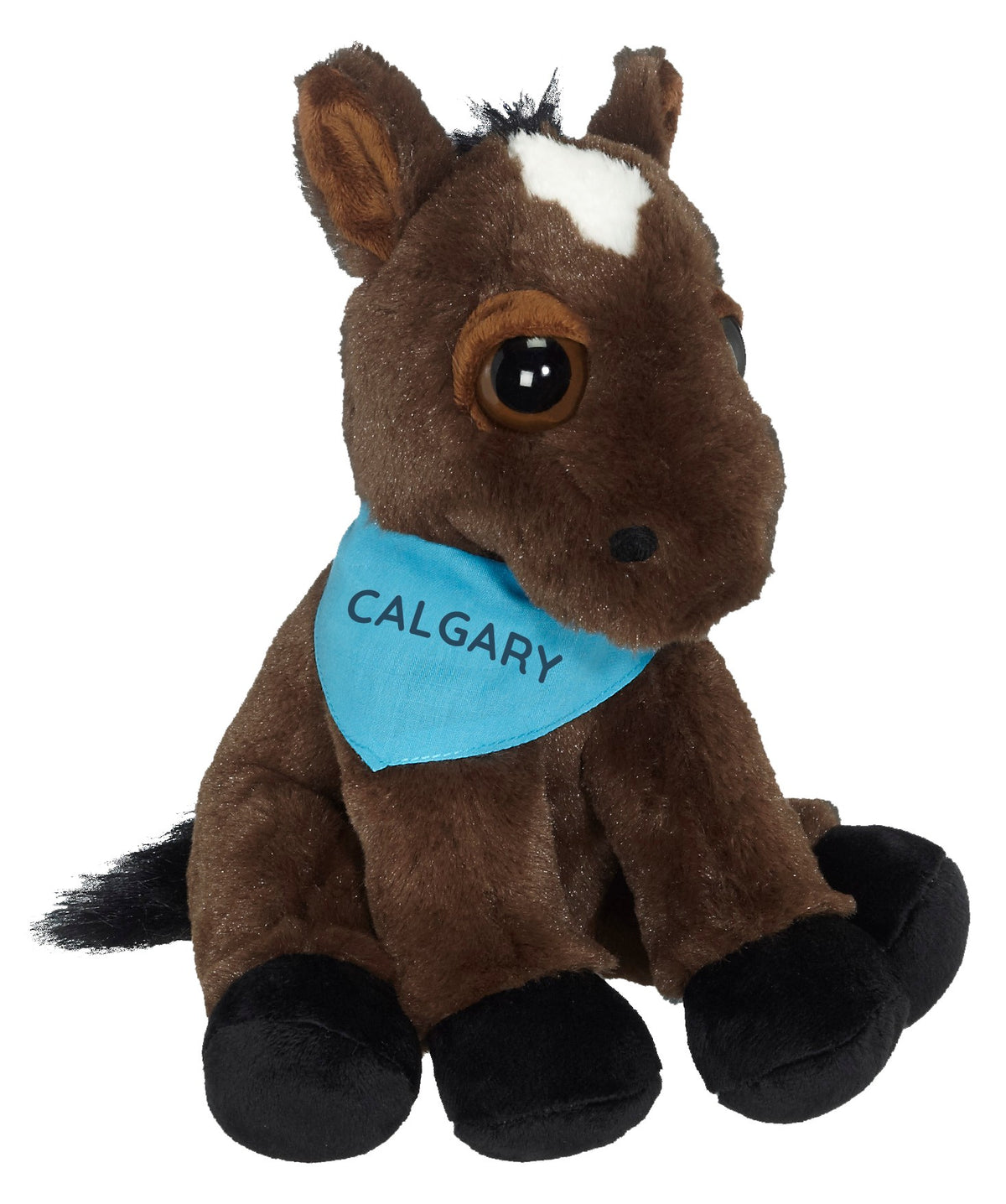 Calgary horse